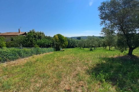 Terra a Amelia, Terni, Amelia - € 30.000 | Ref: Rife.19Bis - foto 13