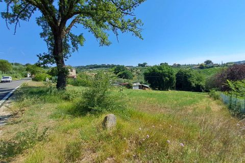 Terra a Amelia, Terni, Amelia - € 30.000 | Ref: Rife.19Bis - foto 14