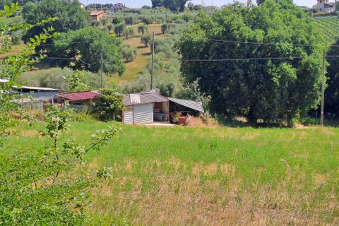 Terra a Amelia, Terni, Amelia - € 30.000 | Ref: Rife.19Bis - foto 15