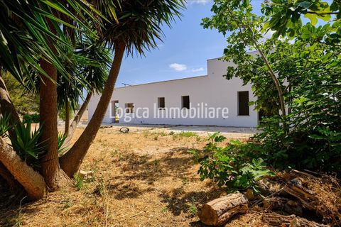 Villa i Nardo, Lecce, Nardo - € 290 000 | Ref: VL405 - foto 3