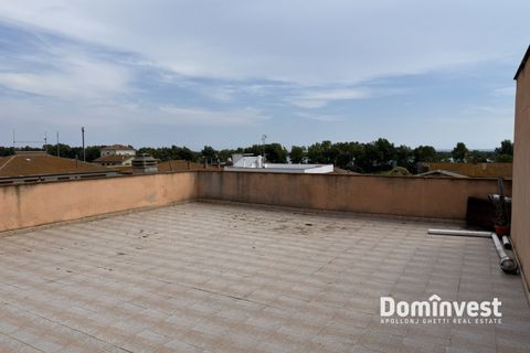 Wohnung in Capalbio, Grosseto, Capalbio - € 235.000 | Ref: V-291 - Foto 1