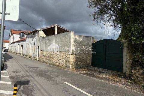 Farm i Cantanhede, Coimbra, Cantanhede - € 1.500.000 | Ref: 001-1083HN - foto 3