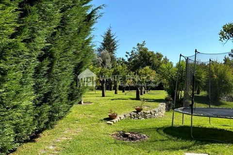 Farm i Cantanhede, Coimbra, Cantanhede - € 1.500.000 | Ref: 001-1083HN - foto 23