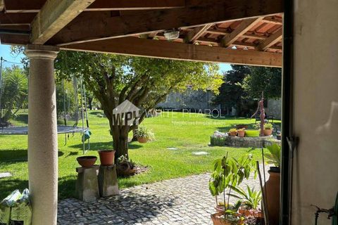 Farm i Cantanhede, Coimbra, Cantanhede - € 1.500.000 | Ref: 001-1083HN - foto 24