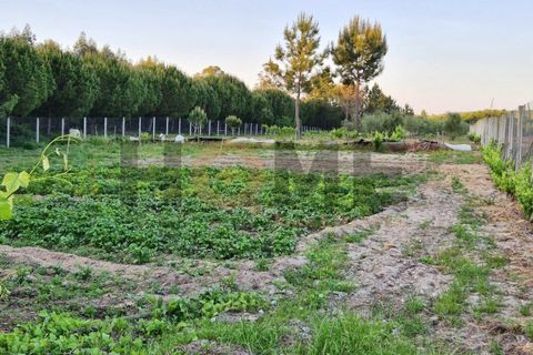 Helårsgrund i Benfica do Ribatejo, Santarem, Benfica do Ribatejo - € 115.000 | Ref: 100.001.912 - foto 1