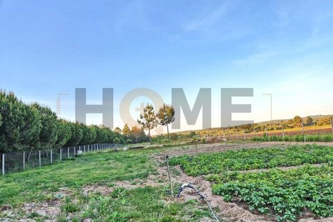 Helårsgrund i Benfica do Ribatejo, Santarem, Benfica do Ribatejo - € 115.000 | Ref: 100.001.912 - foto 2