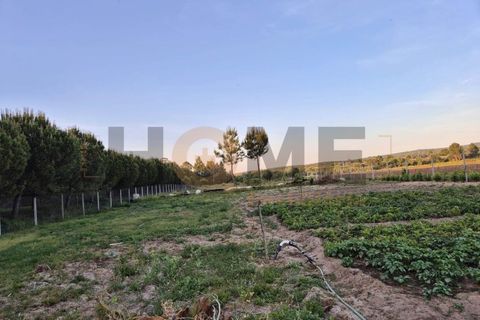 Helårsgrund i Benfica do Ribatejo, Santarem, Benfica do Ribatejo - € 115.000 | Ref: 100.001.912 - foto 3