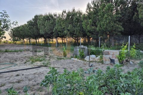 Helårsgrund i Benfica do Ribatejo, Santarem, Benfica do Ribatejo - € 115.000 | Ref: 100.001.912 - foto 4