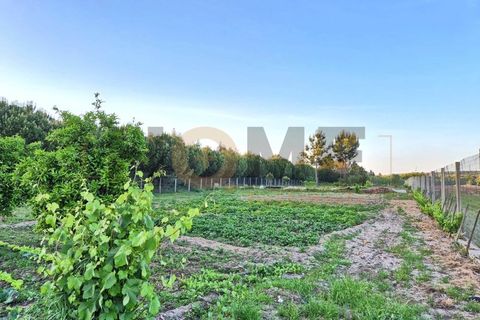 Helårsgrund i Benfica do Ribatejo, Santarem, Benfica do Ribatejo - € 115.000 | Ref: 100.001.912 - foto 5