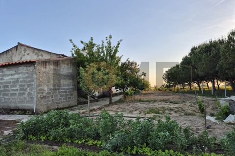 Helårsgrund i Benfica do Ribatejo, Santarem, Benfica do Ribatejo - € 115.000 | Ref: 100.001.912 - foto 6