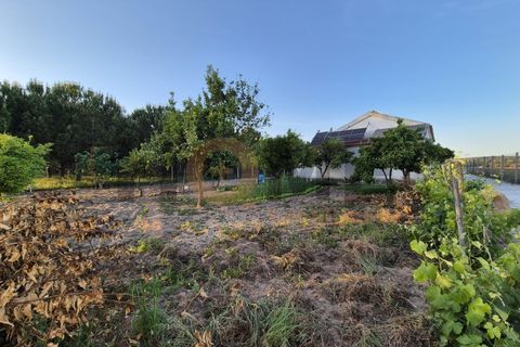 Helårsgrund i Benfica do Ribatejo, Santarem, Benfica do Ribatejo - € 115.000 | Ref: 100.001.912 - foto 8