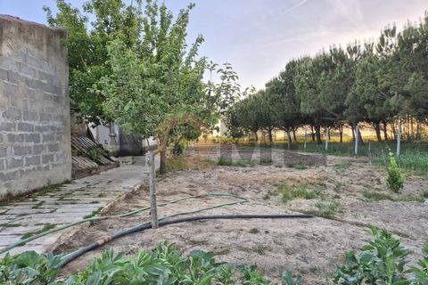 Helårsgrund i Benfica do Ribatejo, Santarem, Benfica do Ribatejo - € 115.000 | Ref: 100.001.912 - foto 9