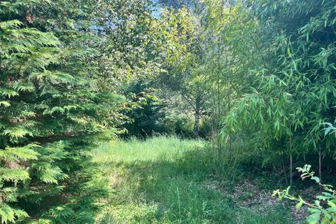Terra em Treignac, Correze, Treignac - € 14.500 | Ref: 75011159999 - foto 4