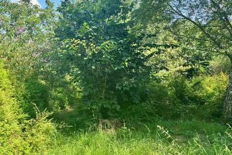 Terra em Treignac, Correze, Treignac - € 14.500 | Ref: 75011159999 - foto 5