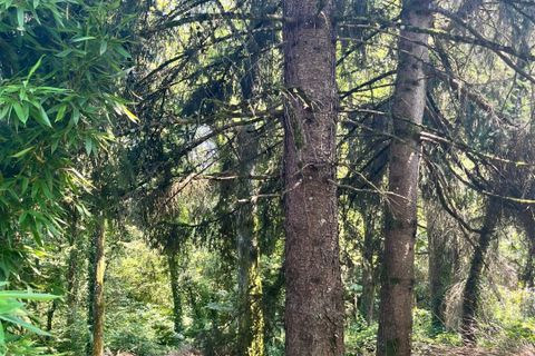 Terra em Treignac, Correze, Treignac - € 14.500 | Ref: 75011159999 - foto 6