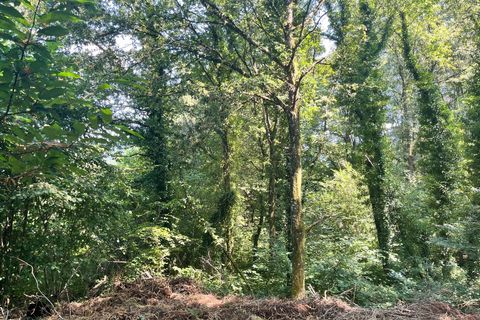 Terra em Treignac, Correze, Treignac - € 14.500 | Ref: 75011159999 - foto 7