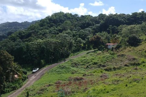 Terra a Le Lamentin, Martinique, Le Lamentin - € 104.410 | Ref: F6A0B5ED71754553 - foto 3