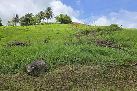 Terra a Le Lamentin, Martinique, Le Lamentin - € 104.410 | Ref: F6A0B5ED71754553 - foto 5
