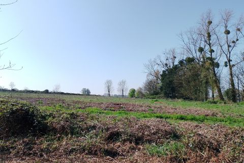 Villa i Plumelin, Morbihan, Plumelin - € 208.000 | Ref: 063345019930476A - foto 13