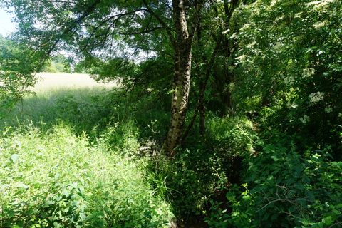 Tomt i Thiviers, Dordogne, Thiviers - € 255 000 | Ref: 81F01F65EA7446A7 - foto 3