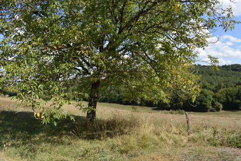 Farm hus i Eyliac, Dordogne, Eyliac - € 315.000 | Ref: 71EC2F5730804EE1 - foto 5