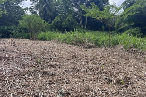 Terra em Le Lamentin, Martinique, Le Lamentin - € 134.000 | Ref: 727600E8C06946AF - foto 1