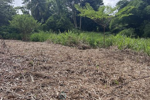 Terra em Le Lamentin, Martinique, Le Lamentin - € 134.000 | Ref: 727600E8C06946AF - foto 2