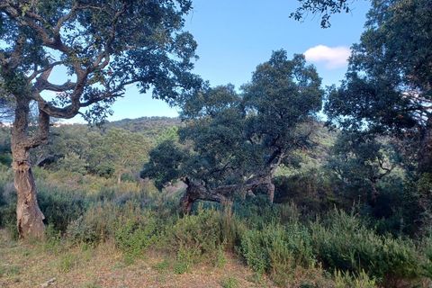 Tomt i Ramatuelle, Var, Ramatuelle - € 340 000 | Ref: 27F36BECB20D42CA - foto 3