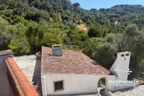 Landejendom i Palmela, Setubal, Palmela - € 1.200.000 | Ref: QUI_2915/14154 - foto 4