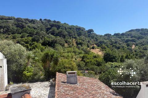Landejendom i Palmela, Setubal, Palmela - € 1.200.000 | Ref: QUI_2915/14154 - foto 8