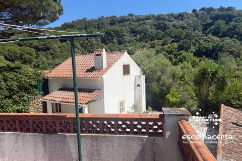 Landejendom i Palmela, Setubal, Palmela - € 1.200.000 | Ref: QUI_2915/14154 - foto 11