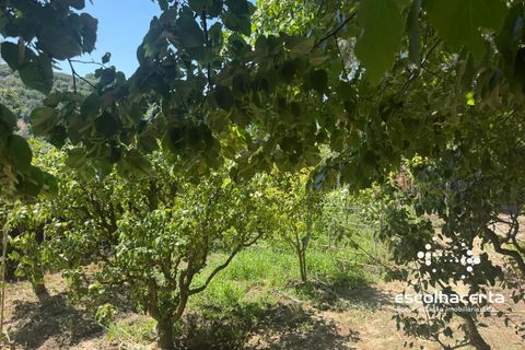 Landejendom i Palmela, Setubal, Palmela - € 1.200.000 | Ref: QUI_2915/14154 - foto 38