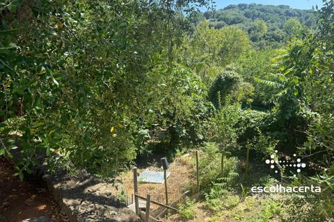 Landejendom i Palmela, Setubal, Palmela - € 1.200.000 | Ref: QUI_2915/14154 - foto 42