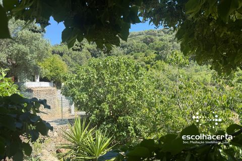 Landejendom i Palmela, Setubal, Palmela - € 1.200.000 | Ref: QUI_2915/14154 - foto 43