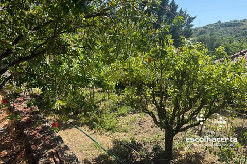 Landejendom i Palmela, Setubal, Palmela - € 1.200.000 | Ref: QUI_2915/14154 - foto 45