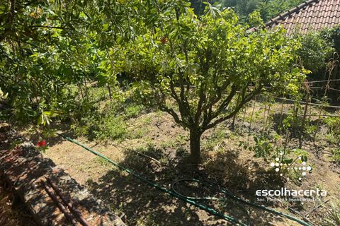 Landejendom i Palmela, Setubal, Palmela - € 1.200.000 | Ref: QUI_2915/14154 - foto 46