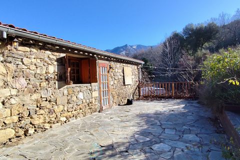 Villa a Taurinya, Pyrenees-Orientales, Taurinya - € 520.000 | Ref: 6850716A7E144DB5 - foto 20