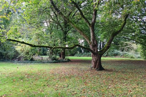 Villa i Mohon, Morbihan, Mohon - € 188.000 | Ref: C4F606D8931A4D8E - foto 11
