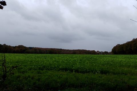 Villa en Meneac, Morbihan, Meneac - € 292.000 | Ref: DDC02BB2BD764F38 - photo 12