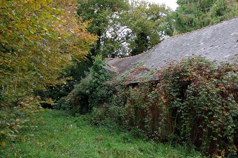 Villa en Meneac, Morbihan, Meneac - € 292.000 | Ref: DDC02BB2BD764F38 - photo 13
