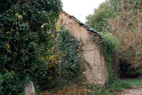 Villa en Meneac, Morbihan, Meneac - € 292.000 | Ref: DDC02BB2BD764F38 - photo 30