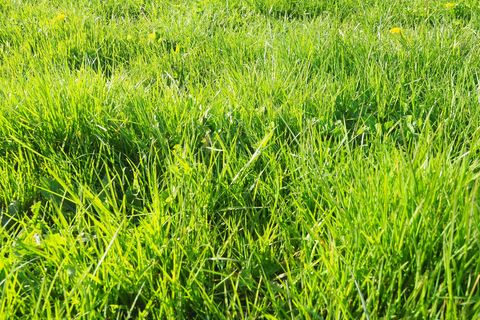 Helårsgrund i Groix, Morbihan, Groix - € 289.800 | Ref: A4C90116BC6E46A5 - foto 1