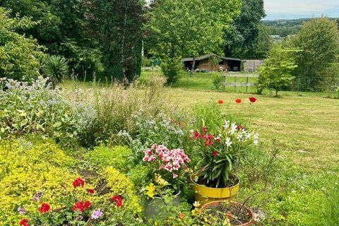 Villa a La Gacilly, Morbihan, La Gacilly - € 324.900 | Ref: 6671B443192F48C5 - foto 38