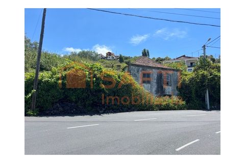 Villa i Ribeira Brava, Madeira, Ribeira Brava - € 165.000 | Ref: SAFTI:008370 - foto 4