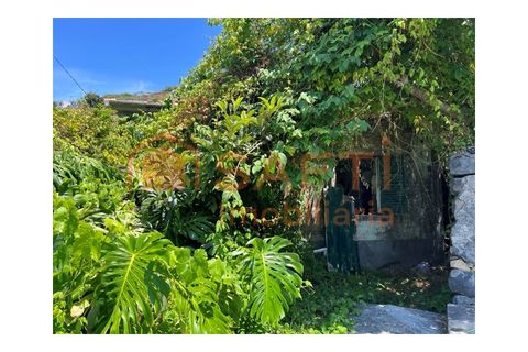 Villa i Ribeira Brava, Madeira, Ribeira Brava - € 165.000 | Ref: SAFTI:008370 - foto 5