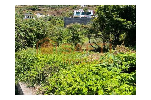 Villa i Ribeira Brava, Madeira, Ribeira Brava - € 165.000 | Ref: SAFTI:008370 - foto 6