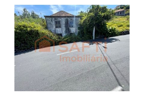 Villa i Ribeira Brava, Madeira, Ribeira Brava - € 165.000 | Ref: SAFTI:008370 - foto 15
