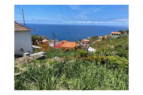 Villa i Ribeira Brava, Madeira, Ribeira Brava - € 165.000 | Ref: SAFTI:008370 - foto 26