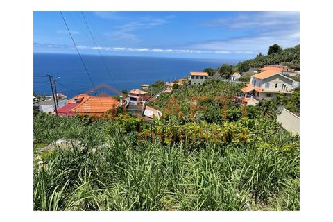 Villa i Ribeira Brava, Madeira, Ribeira Brava - € 165.000 | Ref: SAFTI:008370 - foto 28