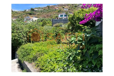 Villa i Ribeira Brava, Madeira, Ribeira Brava - € 165.000 | Ref: SAFTI:008396 - foto 5